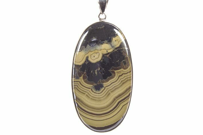 Polished Schalenblende Pendant (Necklace) - Sterling Silver #241256